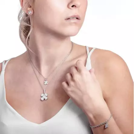 Lumoava Onnekas hopeariipus - Hopeakorut - 563620000 - 2